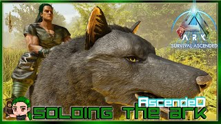 Dire Wolf and Argent Taming Soloing the Ark Ascended 20 [upl. by Docila]