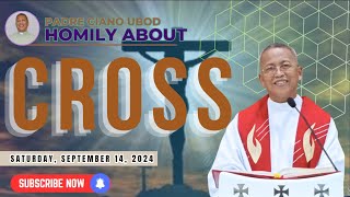 Fr Ciano Homily about CROSS  9142024 [upl. by Retsub]