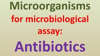 Microorganisms for microbiological assay of antibiotics [upl. by Sellihca]