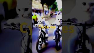 Cat Cycle reslongdrivecycleshortsviralvideos [upl. by Jerz340]