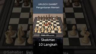 URUSOV GAMBIT Pengorbanan Menteri chess pembukaancaturmematikan [upl. by Savil]