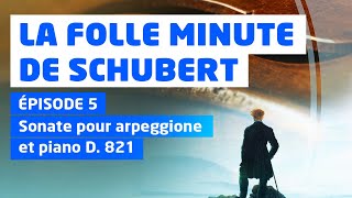 La Folle Minute de Schubert – épisode 5 [upl. by Amos]