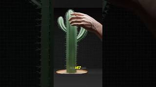 ¡Nunca te quites las espinas de un cactus 😨 [upl. by Kosse]