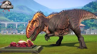 Mapusaurus vs Giganotosaurus Captain America SuperHero Dinosaurs Jurassic World Evolution [upl. by Yenaj]