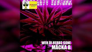 Macka B  Weh Di Herbs Gone Official Audio [upl. by Merton]