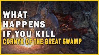 What Happens if you Kill Cornyx of the Great Swamp in Dark Souls 3 [upl. by Diamond]