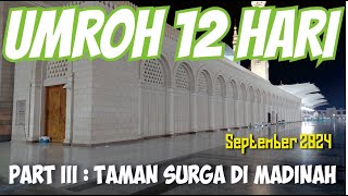 UMROH 12 HARI BERSAMA JEJAK IMANI SEPTEMBER 2024 PART III  ZIARAH DI TAMAN SURGARAUDHAH [upl. by Enuj]