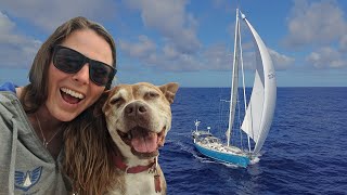 Huge Sailing Adventure Cape Horn to RealTime  Refitting Our Dream Sailboat in Patagonia Ep 144 [upl. by Josephine]