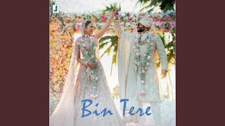 Bin Tere [upl. by Attiuqahs205]