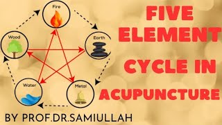 FIVE ELEMENTS CYCLE IN ACUPUNCTURE [upl. by Airamanna]