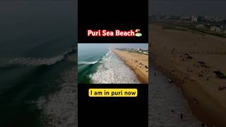 Puri Sea Beach  Puri Beach Area  Jagarnath Puri puri trendingshorts seabeach goldenbeach [upl. by Ralyat]