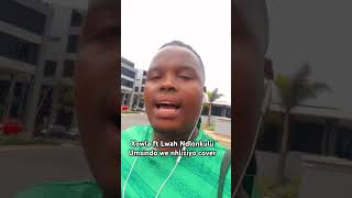 umsindo we nhliziyo cover xowlaistallion Ndlunkulusa LatestMusicSA stsukudlakwendlebe [upl. by Nyllaf]