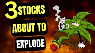 Top 3 Marijuana Stocks To Buy MASSIVE Upside [upl. by Maurice]