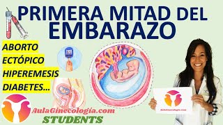 PRIMERA MITAD DEL EMBARAZO AulaGinecología  STUDENTS ABORTO ECTÓPICO HIPEREMESIS DIABETES [upl. by Atikim]