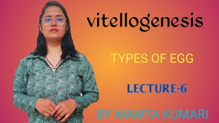 Vitellogenesis Types of egg [upl. by Yht]