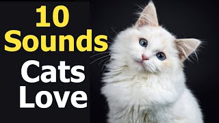 10 Sounds Cats Love To Hear The Most [upl. by Ordnazil]