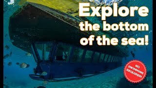 Cancun Submarine Tour at Punta Nizuc reef  Subsee Explorer [upl. by Lanam]