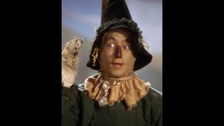 Dorothy meets Scarecrow on The Yellow Brick Road Wizard Of Oz Comedy Recap [upl. by Sinnylg]