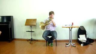 MASTER CLASS RADEK BABORAK ALPEN FANTASIA [upl. by Nahamas]