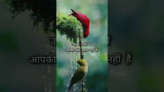 दुख तब होता हैं जब आपको एहसास हो की motivation हिंदीquotes motivationalthoughts [upl. by Ruhl164]