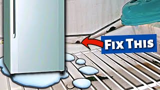 Refrigerator Leaking Water This Is How To Fix It [upl. by Orodisi]