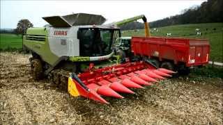 NEW Claas Lexion 770 TT  Corn Harvest [upl. by Nomihs357]