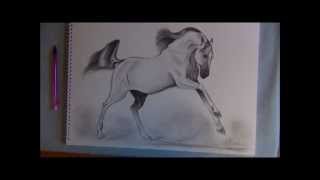 How to Draw a Galloping Bay Horse 16th January 2012 [upl. by Suiramad825]