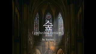 soobins 숲 but youre in a cathedral [upl. by Yellehs]