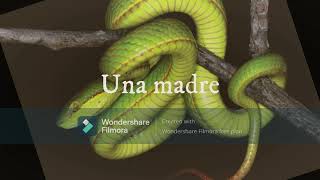 Booktrailer El mar y la serpiente [upl. by Politi]