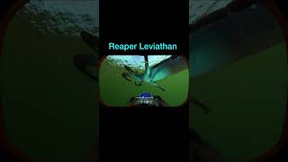 All 6 Leviathans in Subnautica leviathan subnautica reaperleviathan [upl. by Jotham]