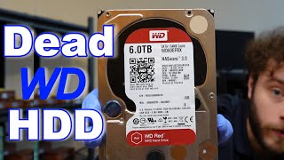 How to Fix a Dead WD 6TB HDD and Recover Your Data [upl. by Terraj92]