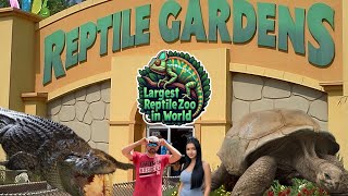 Worlds Largest Reptile Zoo  Giant Tortoises [upl. by Retrop40]