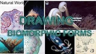 Drawing biomorphic forms inspired from students examples and artists work [upl. by Ayaj]