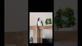 Amazing DIY Plaster of Paris Crafts 🐧You Can Make Todayquot diy craftyideas art ytshorts shorts [upl. by Ahsirak]