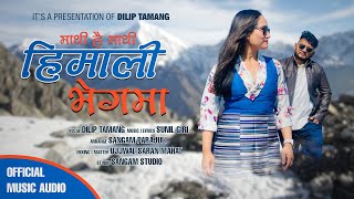 quotMathi Hai Mathi Himali Bhegaima  Dilip Tamang  Sunil Giri  Official Music Audioquot [upl. by Aisanat]