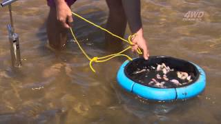 How to catch whiting with yabbies [upl. by Milka850]