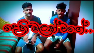 dehi malak wage  දෙහි මලක් වගේ  cover song  bongo  bongo rash [upl. by Cherie]