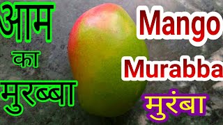 मुरंबा  MANGO MORAMBA  INSTANT RECIPE  AAM KA MURABBA RECIPE  SUMMER SPECIAL RECIPES [upl. by Proffitt269]