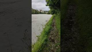 Hochwasser  Wasserburg am Inn [upl. by Wylie]