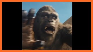 KONG REFUSES TO FIGHT EVOLVED GODZILLA NEW TEASER  Godzilla x Kong The New Empire [upl. by Bunnie]