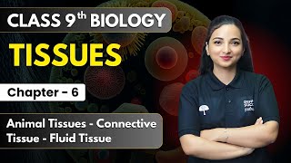 Tissues  Animal Tissues  Connective Tissue  Fluid Tissue  Class 9 Biology Ch 6  CBSE 202425 [upl. by Ermina]