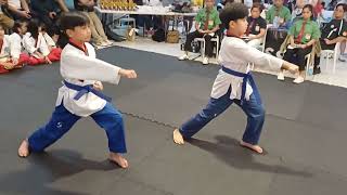 Poomsae Pair Gold 🥇 l 2024 SMARTMVPSF Bulacan Taekwondo Poomsae Championship l Don Rishmond Cerbito [upl. by Garrick]