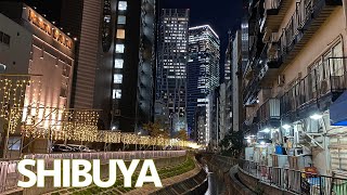 Shibya Illumination  Shibuya River Shibuya Stream  Japan walk [upl. by Leif]