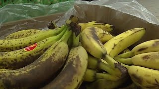 Dans les coulisses dun magasin de déstockage alimentaire  La Quotidienne [upl. by Anidam283]