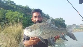 katla fish mangla dam fishing  fishing at mangla broti  Corp fishing 🎣 [upl. by Anceline571]