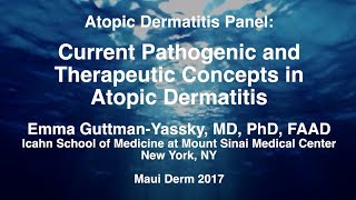 Atopic Dermatitis Pathogenesis [upl. by Homere303]