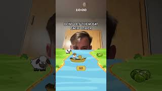 SHEEP GAME LIKE and SUBSCRIBE game [upl. by Myo]