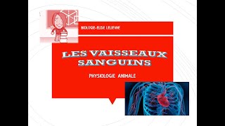 Les vaisseaux sanguins [upl. by Emelin]