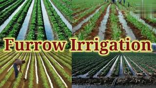 Furrow Irrigation  Advantages of furrow  Irrigation Engineering  Civil Engineering  Shiwani Jha [upl. by Rebbecca]