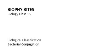 Biology Class 15  Bacterial Conjugation [upl. by Nannoc]